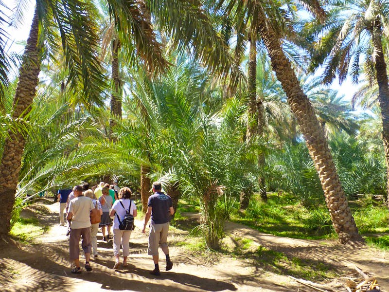 Spaziergang in der Oase Al Ain - Abu Dhabi - ©Sylvia Sann - Eberhardt TRAVEL
