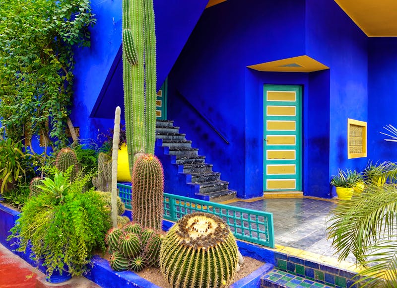 Jardin Majorelle in Marrakesch - ©Cyril PAPOT - stock.adobe.com