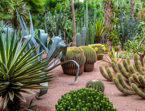 Jardin Majorelle in Marrakesch – © Jérôme Rommé - stock.adobe.com