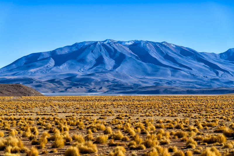 Valle de las Rocas in Bolivien - ©Knöpfli - stock.adobe.com