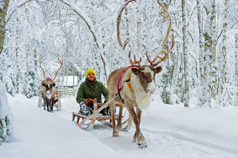 Rentier-Schlittenfahrt in Finnland - ©Juho Kuva - Visit Finland