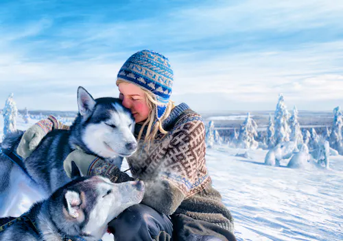 Husky-Tour in Finnland &ndash; &copy; Antti Viitala - Visit Finland