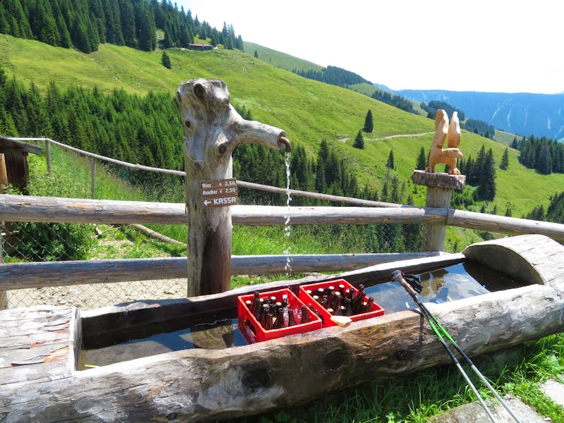 An der Schützingalm bei Zell am See - ©Doreen Päßler - Eberhardt TRAVEL