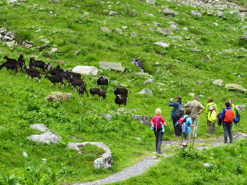 Wanderung zu den Stauseen von Kaprun - ©Doreen Päßler - Eberhardt TRAVEL