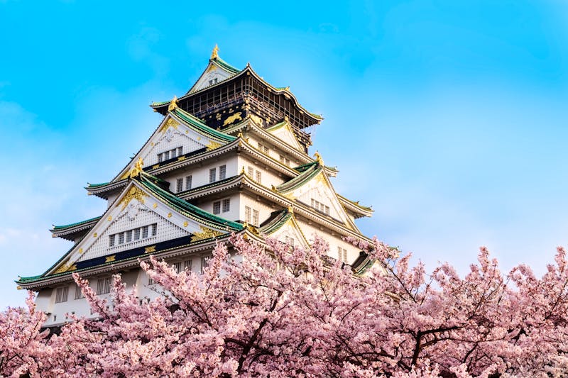 Osaka castle with cherry blossom. Japan, April,spring. - ©MoustacheGirl - stock.adobe.com