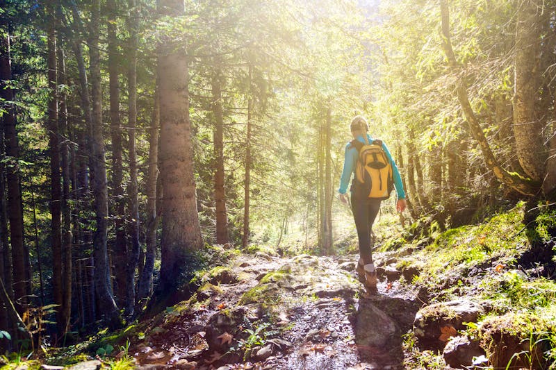 Wanderung im Wald - ©mRGB - stock.adobe.com