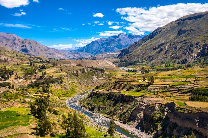 Terrassenfelder im Colca-Tal - ©saiko3p - stock.adobe.com