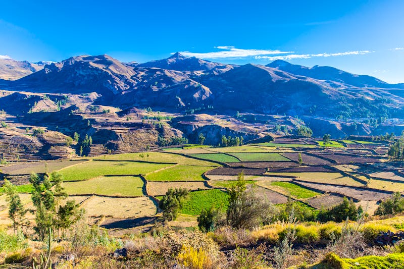 Terrassenfelder im Colca-Tal - ©vitmark - stock.adobe.com