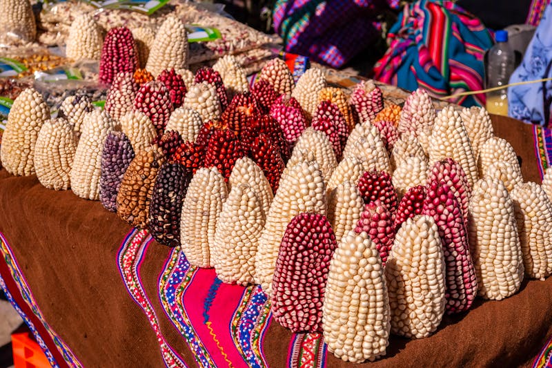 Mais auf einem Markt im Colca-Tal - ©ADEQUARL - stock.adobe.com