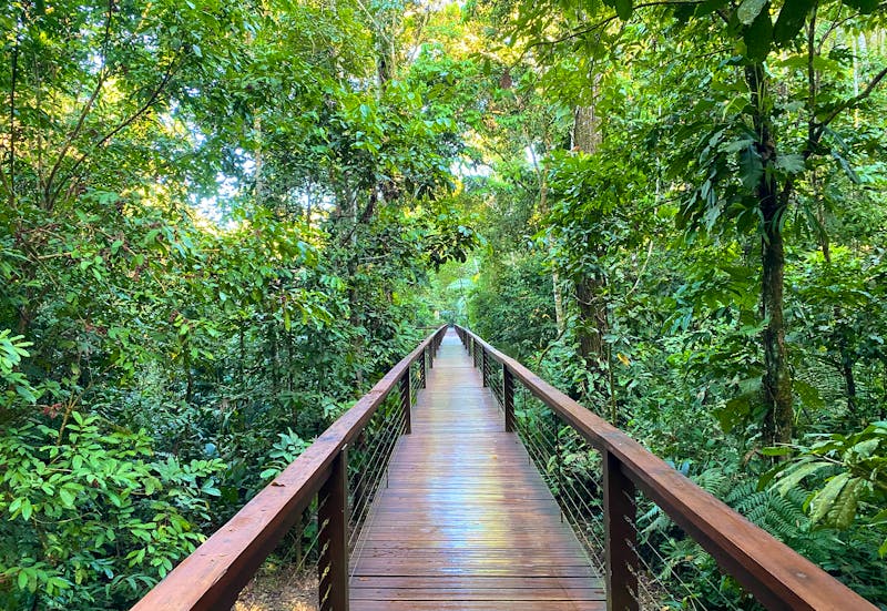 Wandersteg im Tambopata-Nationalreservat in Peru - ©Miguel - stock.adobe.com