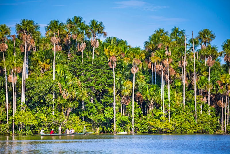 Bootstour im Tambopata-Nationalreservat in Peru - Amazonas - ©Matthew Williams-Ellis, www.matthewwilliams-ellis.com