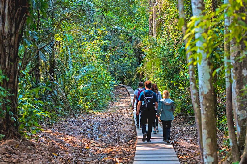 Wanderung im Tambopata-Nationalreservat in Peru - ©Yannik Photography - stock.adobe.com