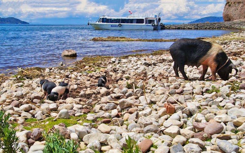 Besuch der Gemeinde Luquina Chico am Titicacasee - ©Andreas Böcker - Eberhardt TRAVEL