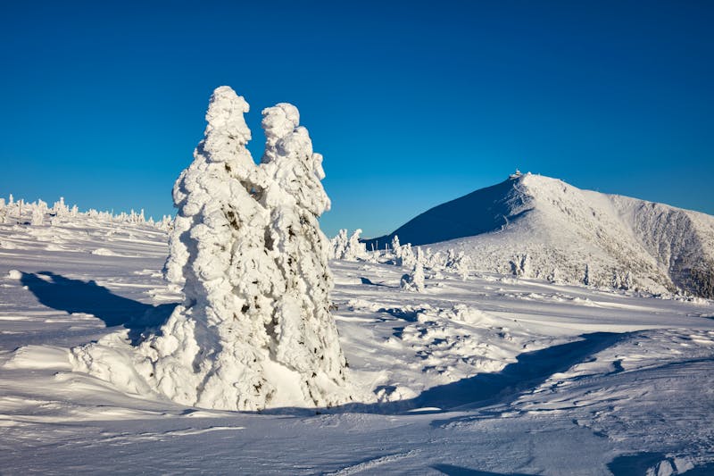 Riesengebirge - Winterlandschaft und Blick auf den Gipfel der Schneekoppe - ©www fotosalek com