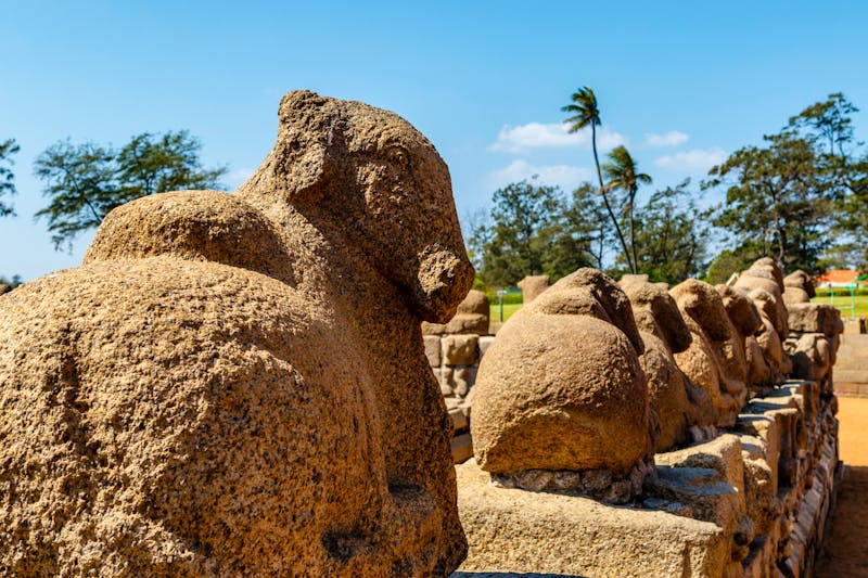 Shore-Tempel (Küstentempel) in Mamallapuram (Mahabalipuram) - Ochsen-Allee - ©Jan Willem van Hofwegen / WoridWidePhotoWeb.com