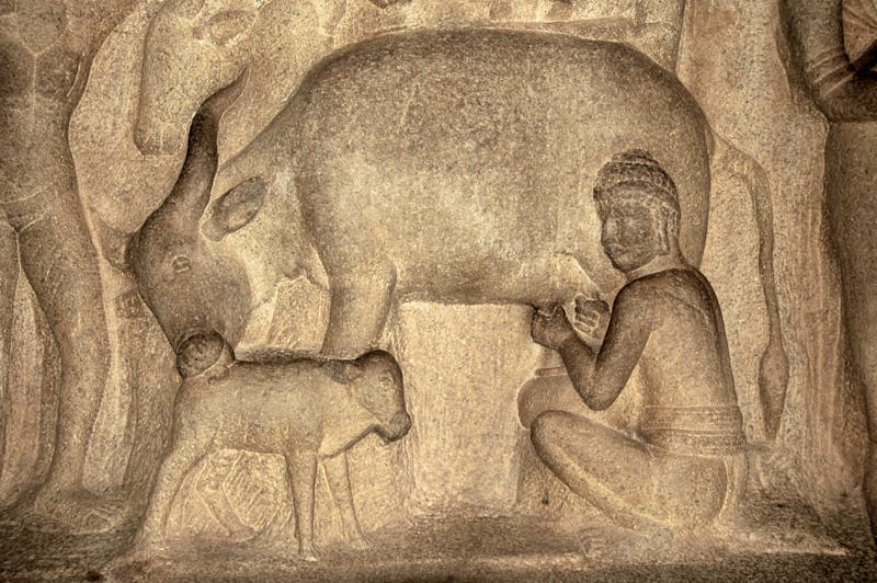 Shore-Tempel (Küstentempel) in Mamallapuram (Mahabalipuram) - Steinreliefs  - ©TMAX - stock.adobe.com