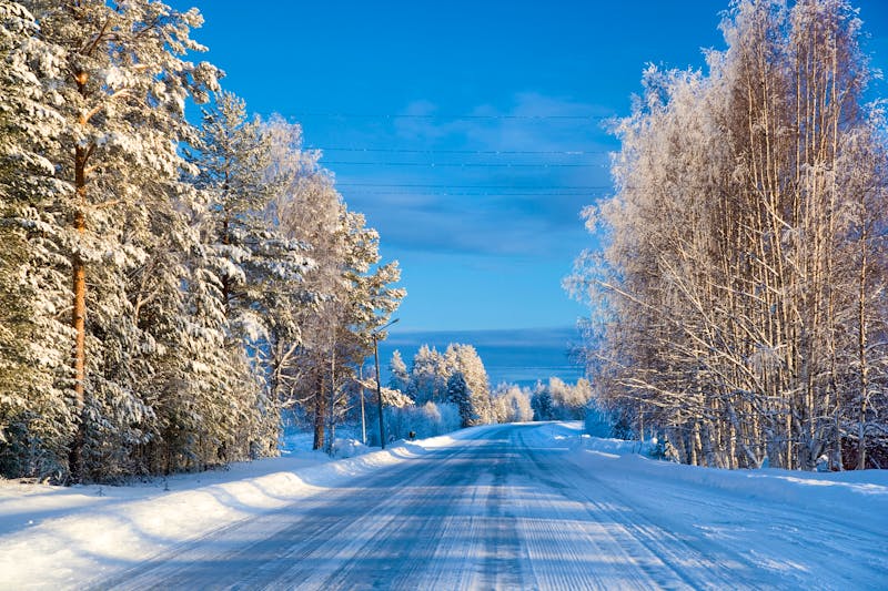 Straße nach Lulea in Schweden - ©Peter Adams/Danita Delimont - stock.adobe.com