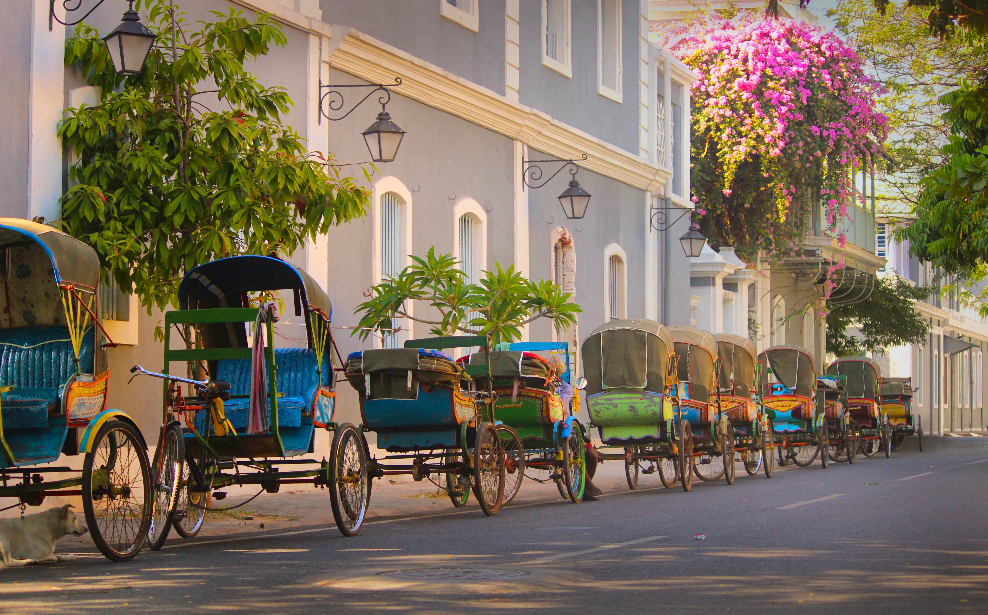 Puducherry in Tamil Nadu - Rikschas in der Altstadt  &ndash; &copy; Prasanth - stock.adobe.com