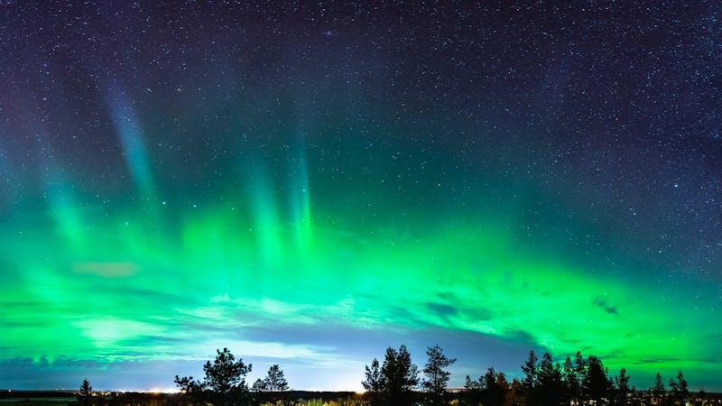 Polarlichter bei Umea in Schweden - ©Alexandre Patchine - stock.adobe.com