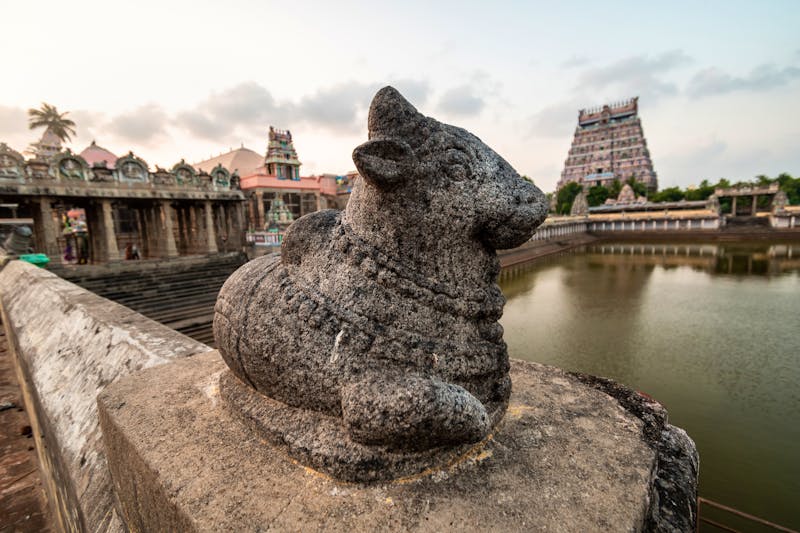 Chidambaram - Steinfiguren im Nataraja-Tempelkomplex - ©Balaji - stock.adobe.com