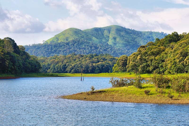 Periyar-Nationalpark - Blick auf den Periyar-See, Wälder- und Berglandschaften - ©estivillml - stock.adobe.com