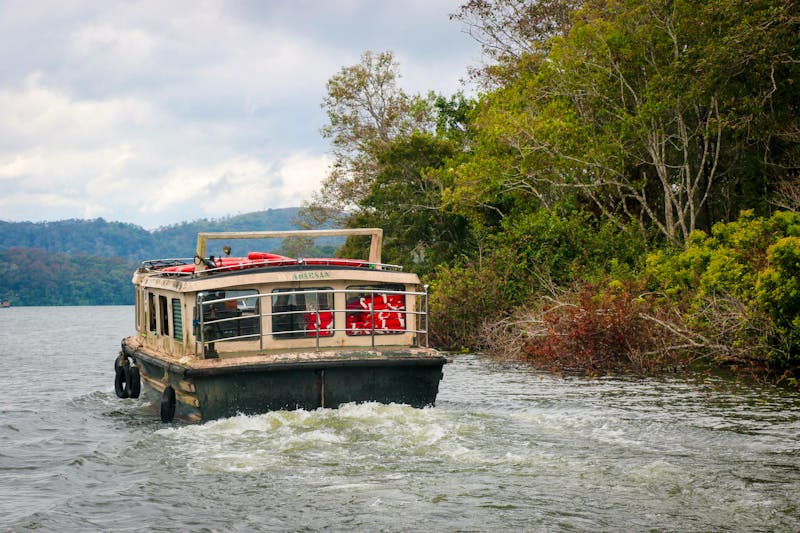 Periyar-Nationalpark - Bootsfahrt auf dem Periyar-See - ©Tareq's Snapshot - stock.adobe.com