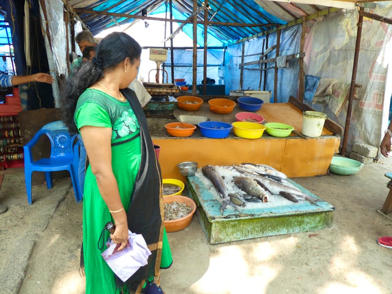 Cochin (Kochi) in Südindien - Fischmarkt - ©Ria Heilmann (Eberhardt TRAVEL)