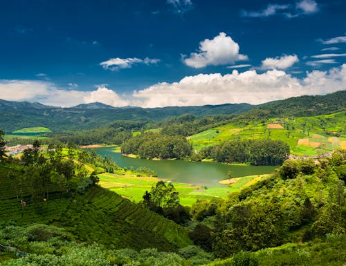 Emerald Lake and village, Nilgiris (Ooty), Tamilnadu, India – © naufalmq - stock.adobe.com
