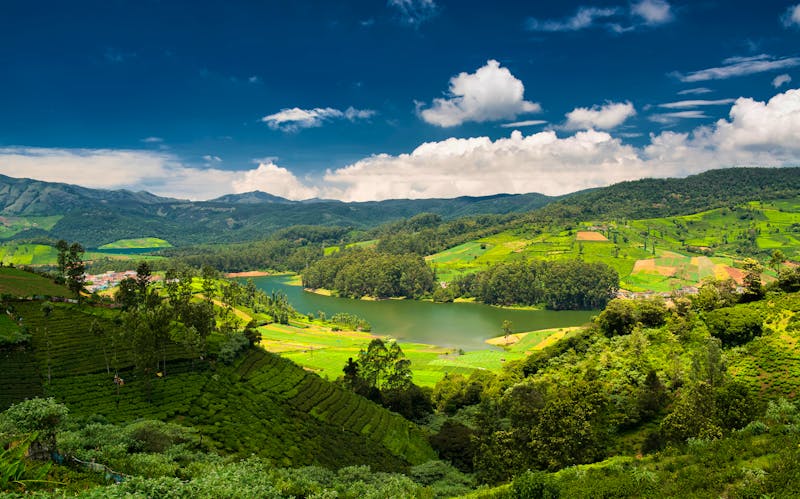 Emerald Lake and village, Nilgiris (Ooty), Tamilnadu, India - ©naufalmq - stock.adobe.com