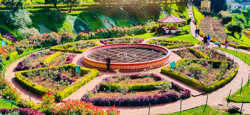 Udhagamandalam (Ooty) - Rosarium im Botanischen Garten - ©Moncy - stock.adobe.com