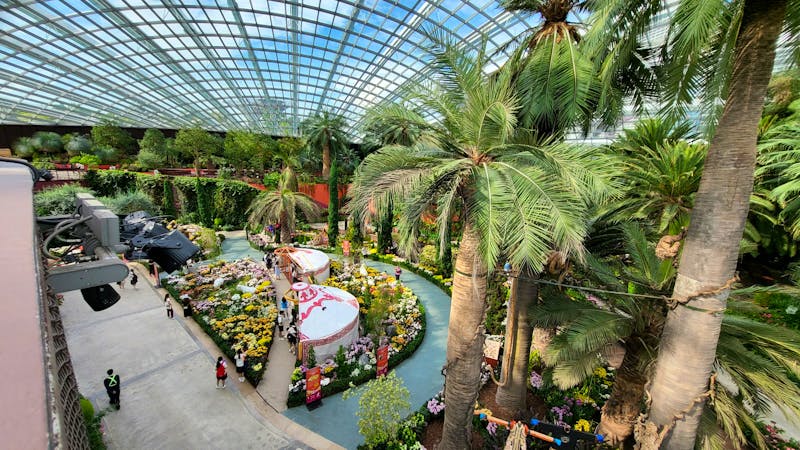 Flower Dome in Singapur - &copy;Franziska Bergmann - Eberhardt TRAVEL
