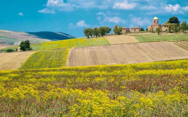 Mafiaort Corleone auf Sizilien - Landwirtschaft im Umland - ©rolf_52 - stock.adobe.com