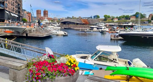 Oslo am Fjord &ndash; &copy; Eberhardt TRAVEL