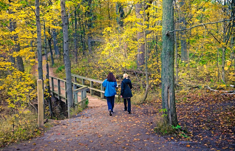 Spaziergang im Algonquin Provincial Park - Ontario - ©surangaw - stock.adobe.com