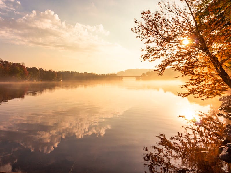 Lake Vernon bei Huntsville am Algonquin Provincial Park - Ontario - ©Jonny Williams - stock.adobe.com