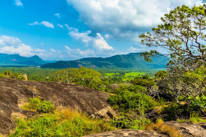 Blick von den Höhlentempeln von Dambulla - Sri Lanka - ©Nicola - stock.adobe.com