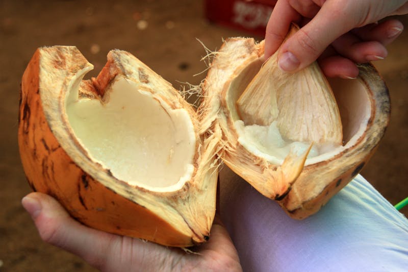 Kokosnuss-Verarbeitung - ©schusterbauer.com - stock.adobe.com