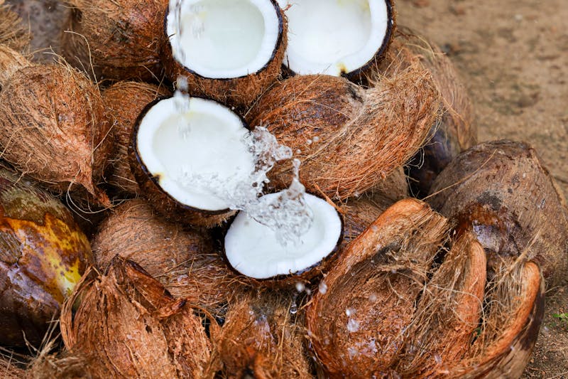 Frische Kokosnuss - ©sanirimpan - stock.adobe.com