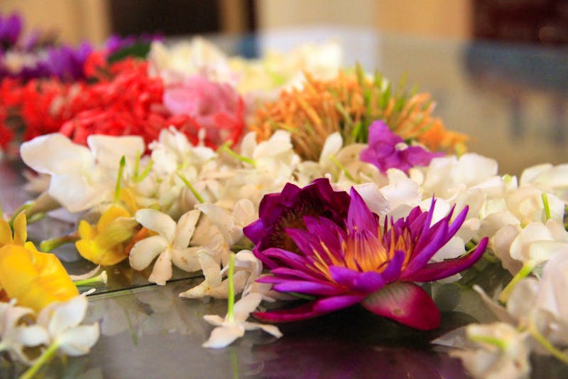 Blumen als Opfergaben im Zahntempel in Kandy - ©Sylvia Ott - Eberhardt TRAVEL