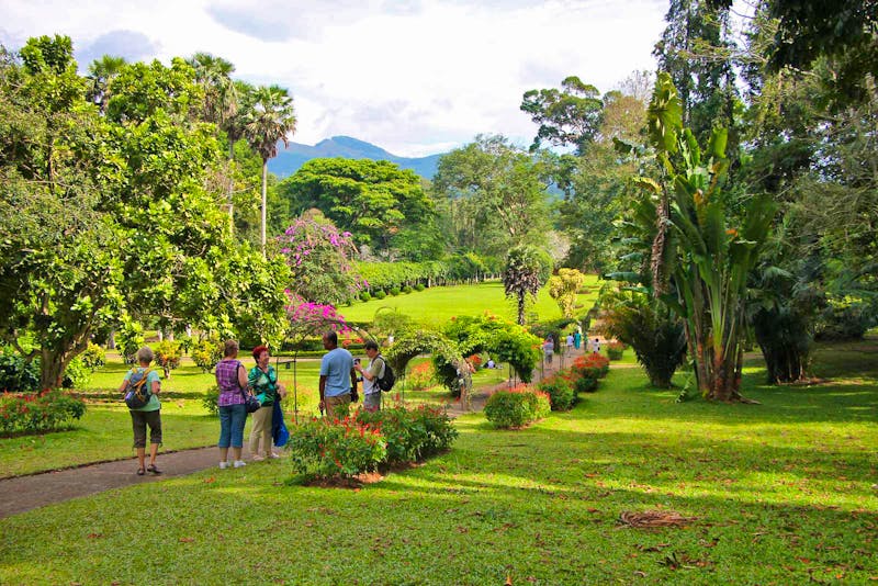 Führung im Botanischen Garten von Kandy - &copy;Kristin Weigel - Eberhardt TRAVEL