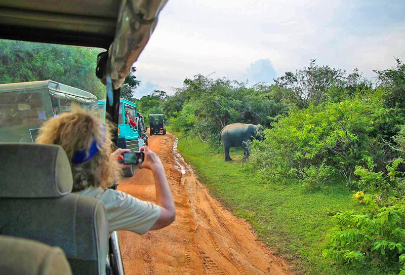 Jeepsafari im Yala-Nationalpark - Elefant - ©Kristin Weigel - Eberhardt TRAVEL
