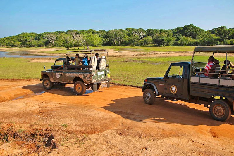 Jeepsafari im Yala-Nationalpark - ©Kristin Weigel - Eberhardt TRAVEL