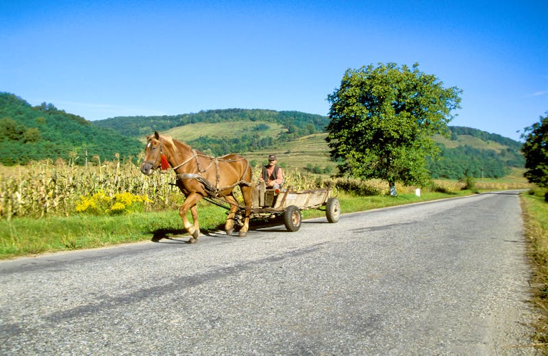 Landleben mit Pferdegespann bei Sighisoara - Siebenbürgen - ©Klaus Heidemann - stock.adobe.com