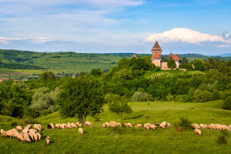 Wehrkirche im Dorf Viscri - Transylvanien - ©thdk - stock.adobe.com