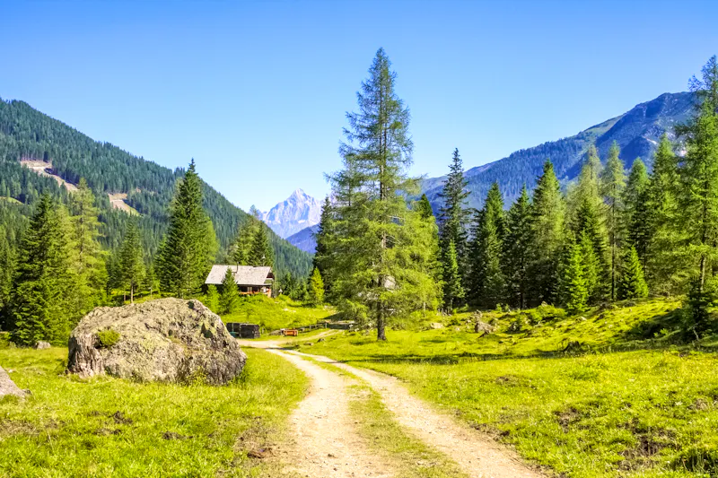 Weg zur Vögeialm - &copy;Sina Ettmer - stock.adobe.com