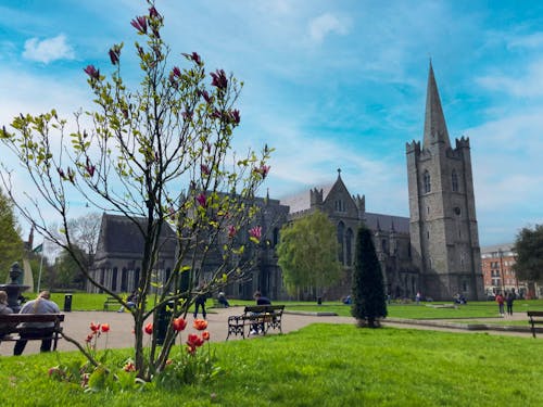St  Patrick's Cathedral &ndash; &copy; Peggy Schkade