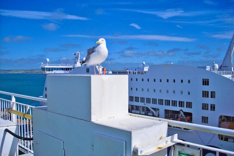 Fährüberfahrt von Dublin nach Holyhead in Wales - ©Norbert Binder - Eberhardt TRAVEL