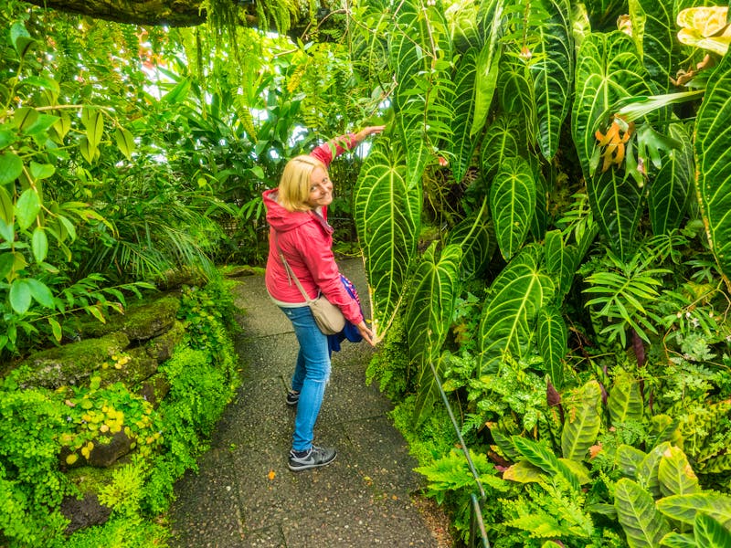 Royal Botanic Garden in Edinburgh - ©Melastmohican - stock.adobe.com