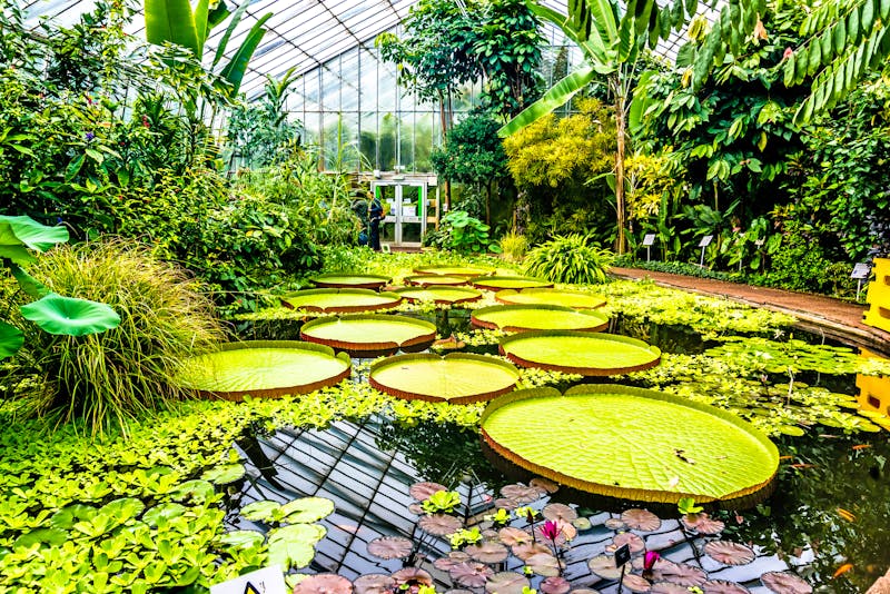 Royal Botanic Garden in Edinburgh - ©Day Dreams - stock.adobe.com