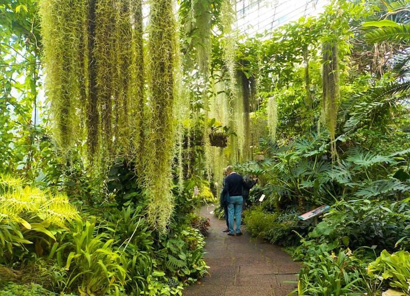 Royal Botanic Garden in Edinburgh - ©kalinaivanova - stock.adobe.com